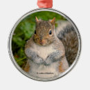 Pesquisar por amendoins ornamentos Loucos