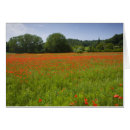 Pesquisar por campo agrícola cartoes postais Europa