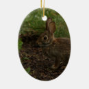 Pesquisar por coelho marrom ornamentos Animal