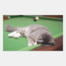 Pesquisar por bilhar adesivos Mesa de bilhar