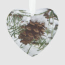 Pesquisar por pine cone ornamentos Inverno