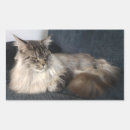 Pesquisar por maine coon adesivos Felino