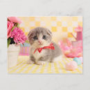 Pesquisar por imagens animais bonitos cartoes postais Imagem de cor