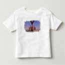 Pesquisar por centro unido camisetas Cidade