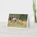 Pesquisar por running cartoes Animals
