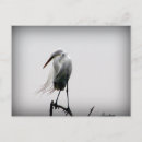 Pesquisar por arrependimento cartoes postais Branco