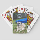 Pesquisar por pug baralhos Cartas