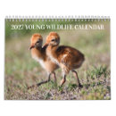 Pesquisar por bois calendarios Vida selvagem