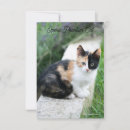 Pesquisar por ópera cartoes Engraçado