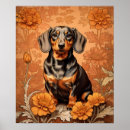 Pesquisar por poster do dachshund pósteres pôsteres For her