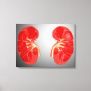 Pesquisar por digestivo impressão de canvas Ilustrações biomédicas