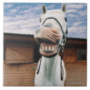 Pesquisar por do cavalo azulejos Natureza