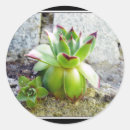 Pesquisar por plantas adesivos Floral
