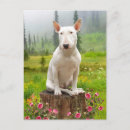 Pesquisar por arte de bull terrier Animais de companhia
