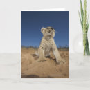 Pesquisar por lion cub cartoes postais Natureza