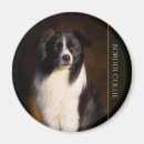 Pesquisar por border collie imas Cão