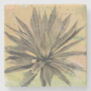 Pesquisar por plant porta copos Cacto