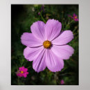 Pesquisar por fundo verde escuro artes pôsteres Preto