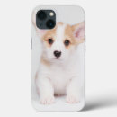 Pesquisar por cute baby iphone capas Queen's dog