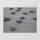 Pesquisar por el salvador cartoes postais América central