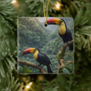 Pesquisar por tropical ornamentos Aves