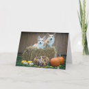 Pesquisar por dog halloween cartoes Dogs