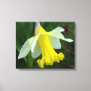 Pesquisar por no amarelo impressão de canvas Flor