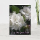 Pesquisar por amizade especial cartoes Amigo