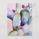 Pesquisar por cacto roxo cartoes postais Arizona