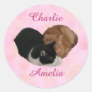 Pesquisar por casal gatos adesivos Kawaii