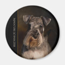 Pesquisar por do cão schnauzer imas Raça