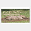 Pesquisar por capybara adesivos Animal