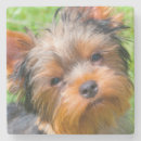 Pesquisar por yorkshire terrier porta copos Preto