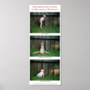 Pesquisar por science pôsteres Education