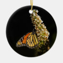 Pesquisar por monarca de natal decoração Laranja