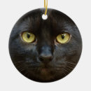 Pesquisar por gatinho preto ornamentos Animal de estimação