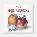 Pesquisar por produtor imas Flores