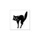 Pesquisar por gato Animal