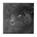 Pesquisar por monocromática azulejos Silhueta