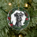 Pesquisar por schnauzer ornamentos Natal