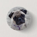 Pesquisar por pug pug botons Cara