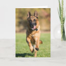Pesquisar por running cartoes Dog