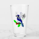 Pesquisar por pássaro azul bonito Qualquer pessoa