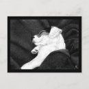 Pesquisar por jack russell terrier cartoes postais Jrt