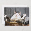 Pesquisar por pobre cartoes Gato