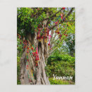 Pesquisar por árvore do coração cartoes postais Amor