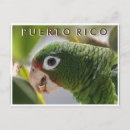 Pesquisar por porte postal do pássaro Viagem