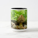 Pesquisar por morels canecas Floresta