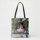 Pesquisar por gato curioso bolsas tote Fofofo