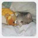 Pesquisar por cama adesivos Gato